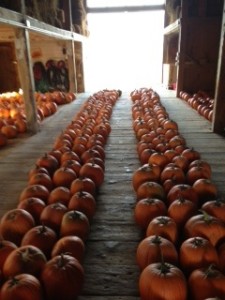 Pumpkins singing together all the way out the door.